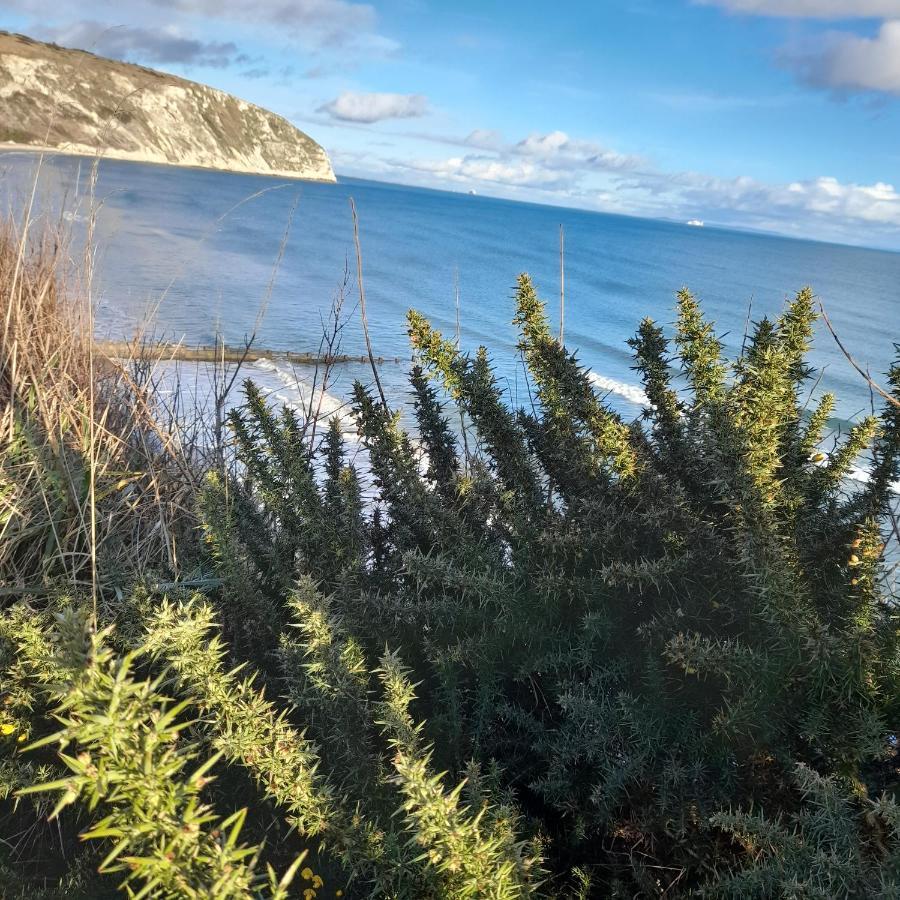 The Hideaway Villa Swanage Eksteriør billede